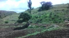 1097930_578141068904311_519097728_o