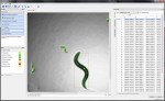 Figure 7: C. elegans tracking via photo-imaging software- followed by data analysis. http://www.mbfbioscience.com/blog/2012/02/special-promotion-on-wormlab-software-for-tracking-and-analyzing-c-elegans/