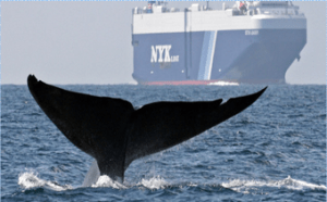 Screen Shot 2015-09-23 at 4.07.47 PM