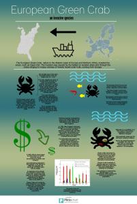 European Green Crab as an Invasive Species (Conflict Copy)