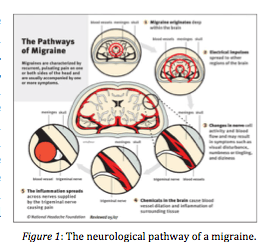 Screenshot 2016-05-27 11.50.24