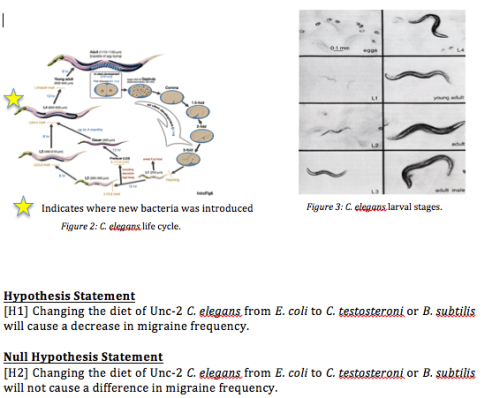 Screenshot 2016-05-27 11.54.22