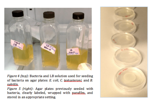 Screenshot 2016-05-27 11.56.49