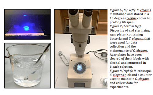 Screenshot 2016-05-27 11.58.20