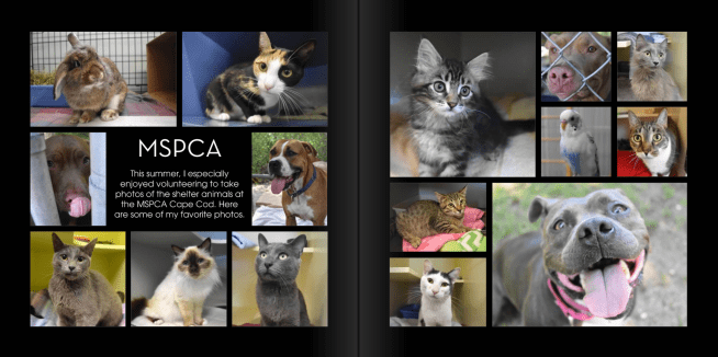 screen-shot-2016-11-29-at-7-17-59-pm