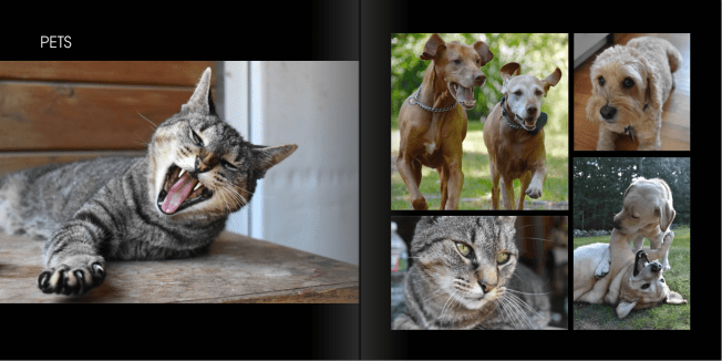 screen-shot-2016-11-29-at-7-18-09-pm