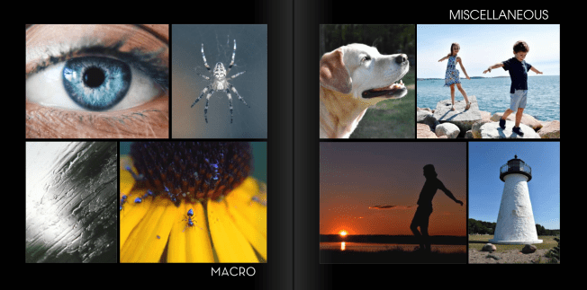 screen-shot-2016-11-29-at-7-19-44-pm