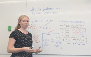 screenshot-2016-12-03-11-13-06