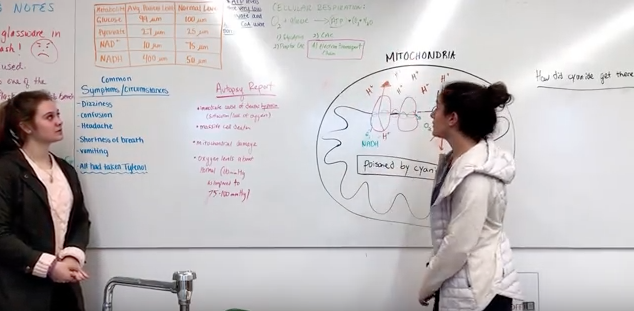 screen-shot-2017-01-22-at-10-48-15-am