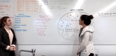 screen-shot-2017-01-22-at-10-48-15-am