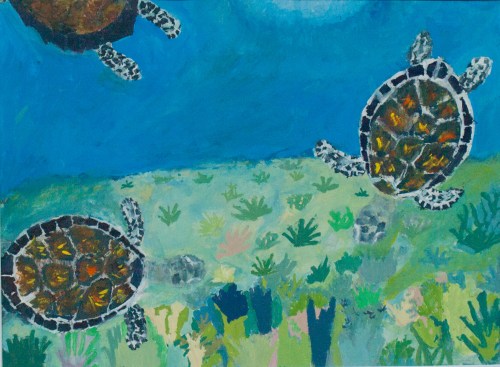 OLYMPUS DIGITAL CAMERA