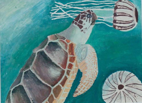 OLYMPUS DIGITAL CAMERA